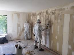 Reliable Ore City, TX Mold Prevention & Removal  Solutions